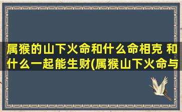 属猴的山下火命和什么命相克 和什么一起能生财(属猴山下火命与属蛇土命相克，与属龙水命一起致富)